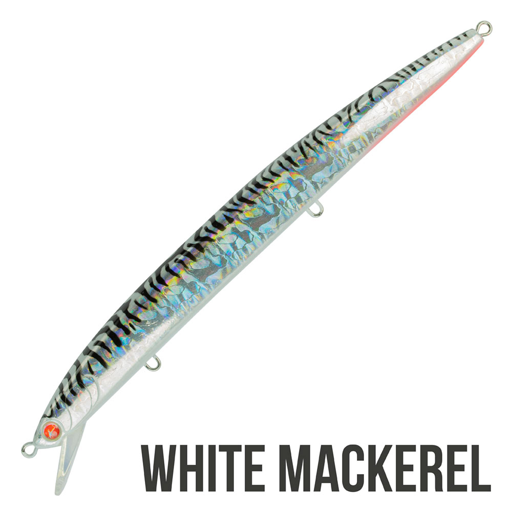 seaspin-mommotti-160-white-mackerel